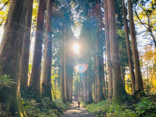 戸隠神社の見どころ＆戸隠そばのオススメ店を厳選