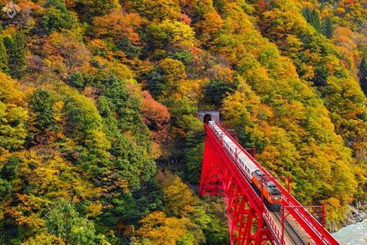 黒部峡谷トロッコ電車とは？