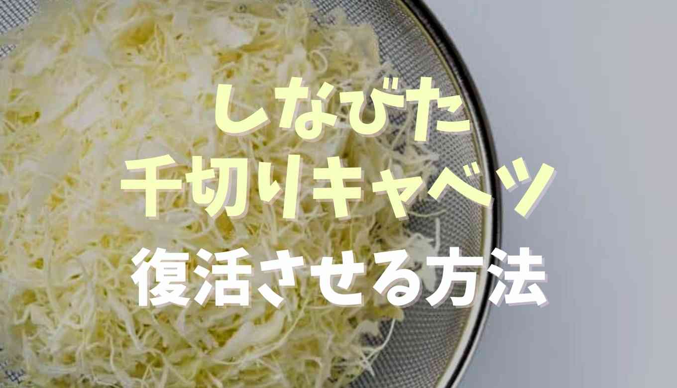 しなびた千切りキャベツ復活させる方法は？アレンジレシピも紹介！