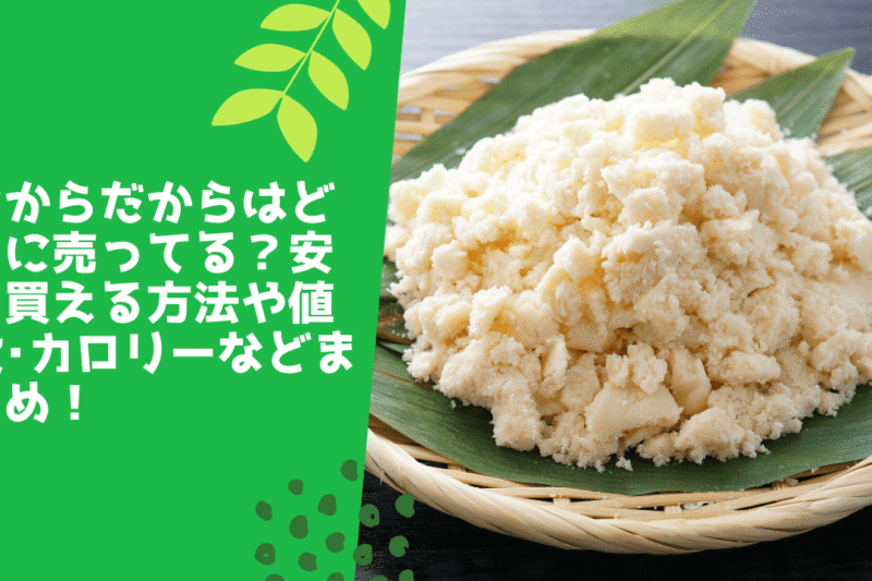 おからだからはどこに売ってる？安く買える方法や値段･カロリーなどまとめ！