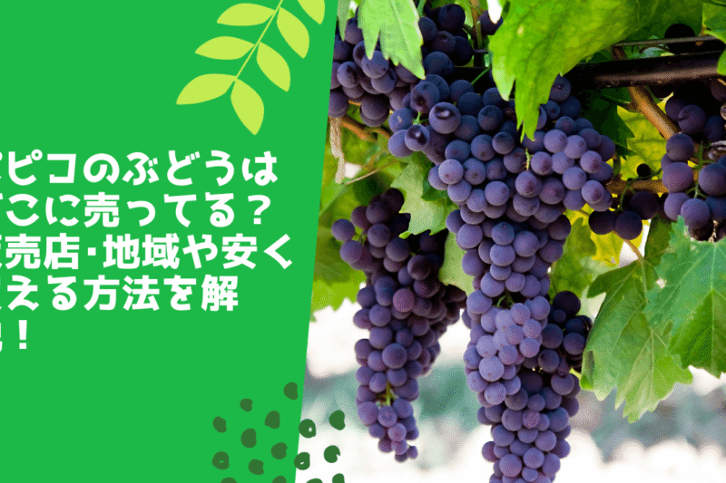 パピコのぶどうはどこに売ってる？販売店･地域や安く買える方法を解説！