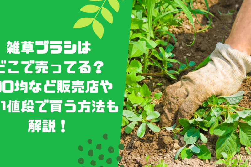 雑草ブラシはどこで売ってる？100均など販売店や安い値段で買う方法も解説！