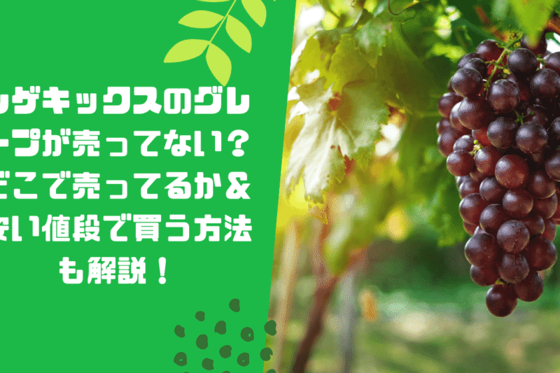 シゲキックスのグレープが売ってない？どこで売ってるか＆安い値段で買う方法も解説！