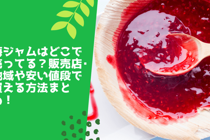 梅ジャムはどこで売ってる？販売店･地域や安い値段で買える方法まとめ！