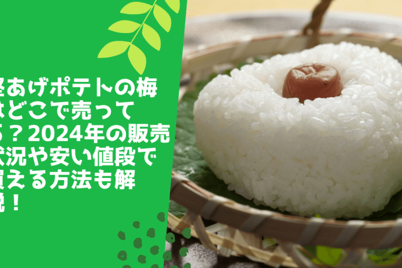 堅あげポテトの梅はどこで売ってる？2024年の販売状況や安い値段で買える方法も解説！