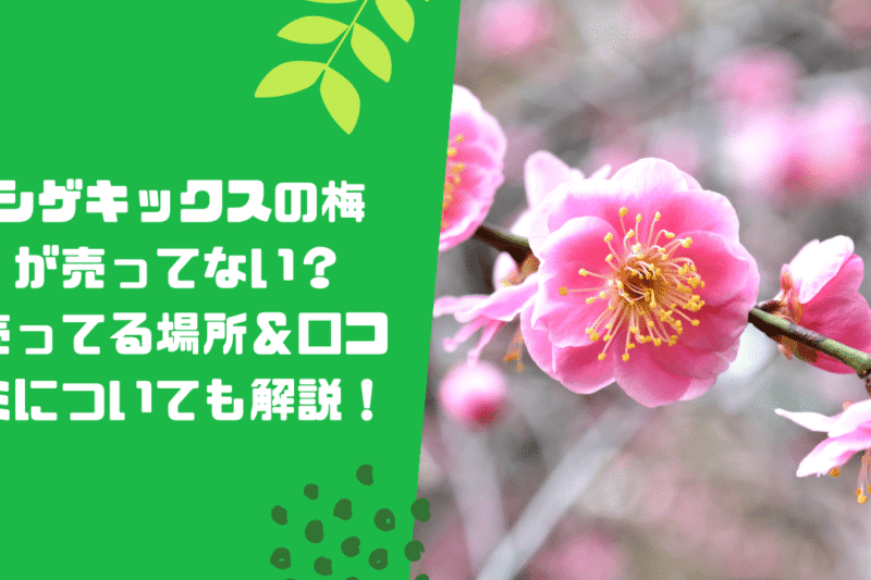 シゲキックスの梅が売ってない？売ってる場所＆口コミについても解説！