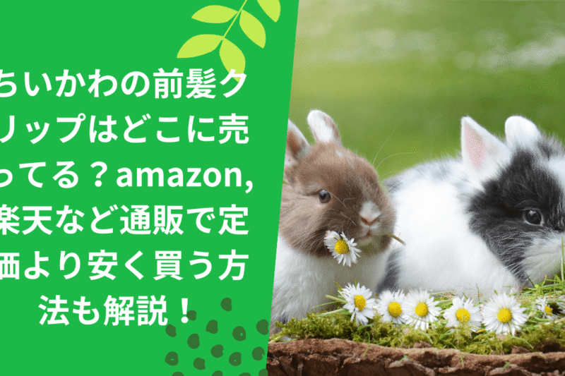 ちいかわの前髪クリップはどこに売ってる？amazon,楽天など通販で定価より安く買う方法も解説！