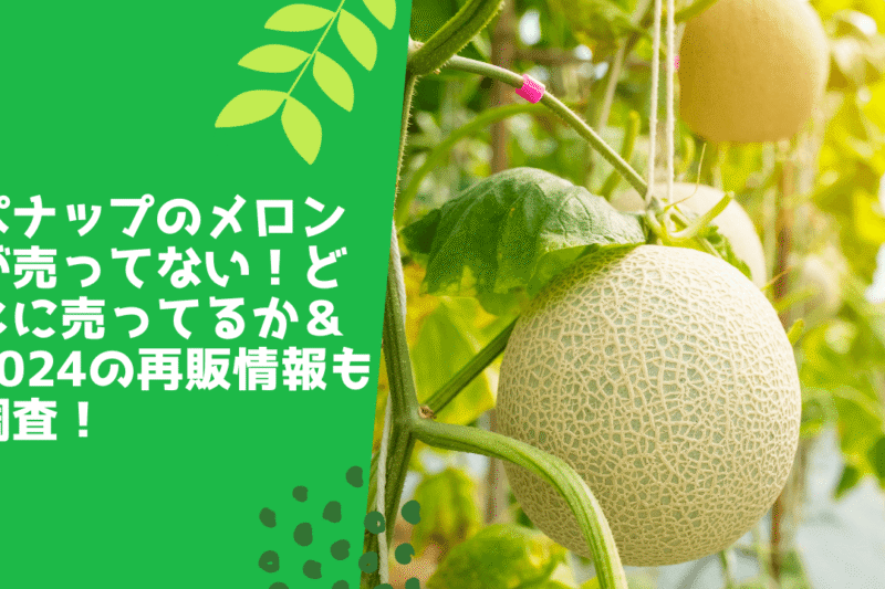 パナップのメロンが売ってない！どこに売ってるか＆2024の再販情報も調査！