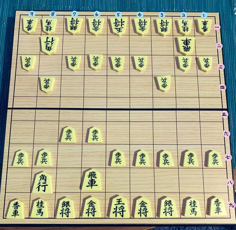 将棋専門店・百貨店で本格的な将棋盤を購入する